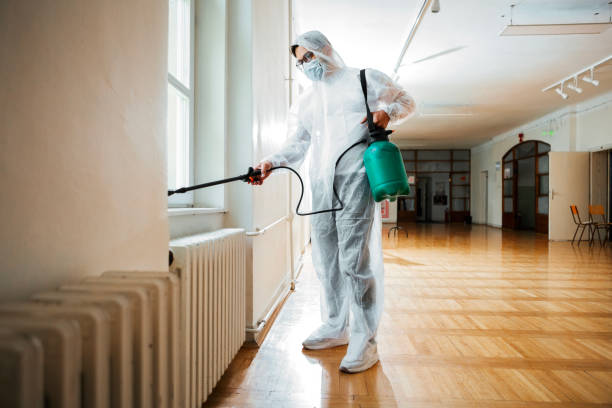 Best Pest Prevention Services  in Reiffton, PA